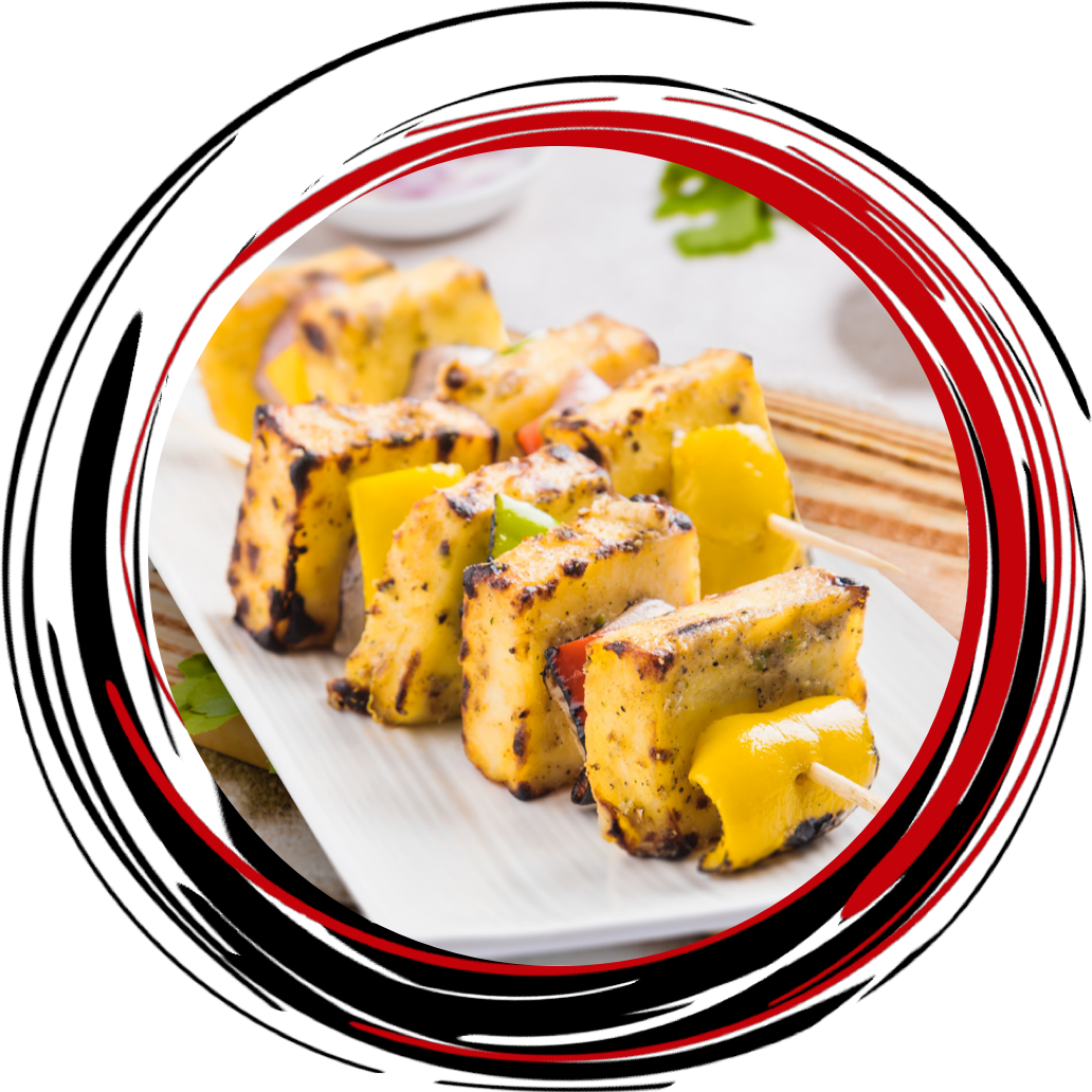 PANEER TIKKA (V)